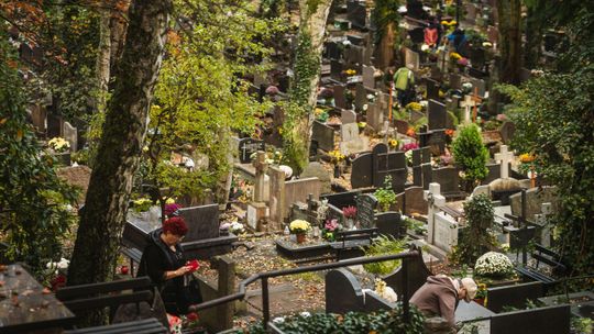 Jak dojechać na cmentarz w Sopocie? Zmiany w organizacji ruchu i objazdy