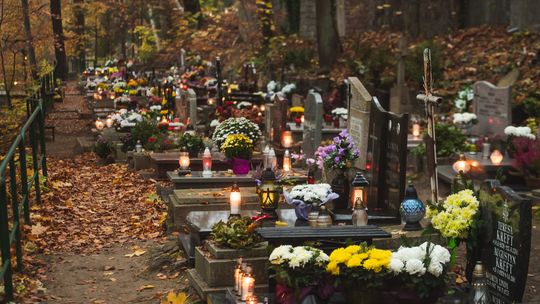 Jak dojechać na gdyńskie cmentarze podczas Wszystkich Świętych? Zmiany organizacji ruchu