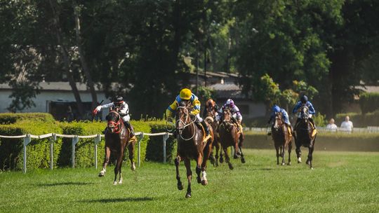 Jak Sopot to wyścigi i rewia kapeluszy na hipodromie