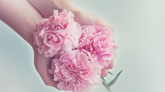 Jak zaskoczyć dziewczynę na Dzień Kobiet? Jak zaskoczyć dziewczynę na Dzień Kobiet?