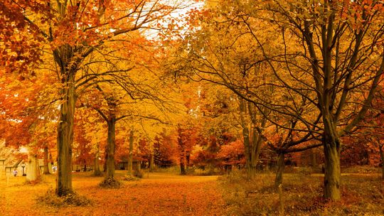 Pogoda Wszystkich Świętych. Czy będzie padać? IMGW zapowiada ciepły początek listopada