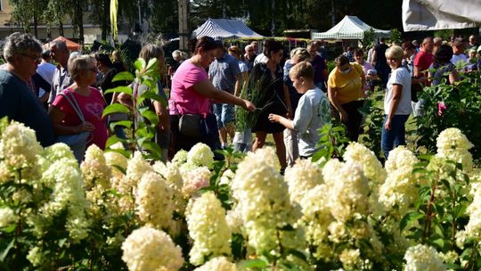 Jesienne Targi Ogrodnicze w Starym Polu