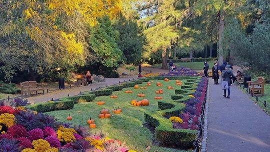 Jesienny park oliwski w obiektywie oliwianki Krystyny Bucholc