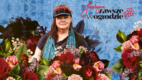 „Justyna zawsze w ogrodzie” cz. 2. Forsycja - biologiczny termometr zwiastujący wiosnę