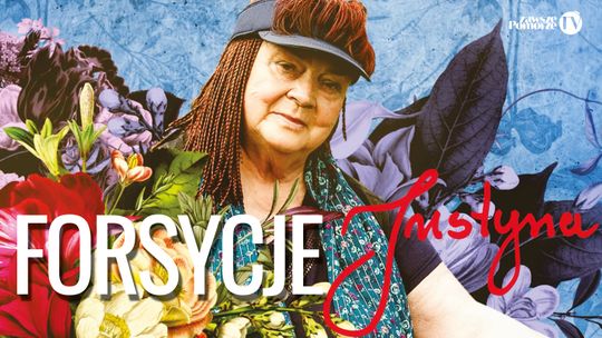 „Justyna zawsze w ogrodzie” cz. 2. Forsycja – biologiczny termometr zwiastujący wiosnę