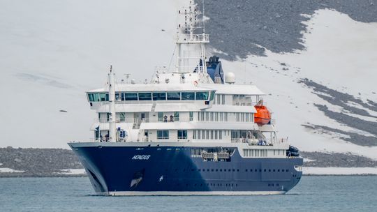 Kapitan MV Hondius nie jest zakażony hantawirusem. Trafi na badania do Gdyni wycieczkowiec MV Hondius