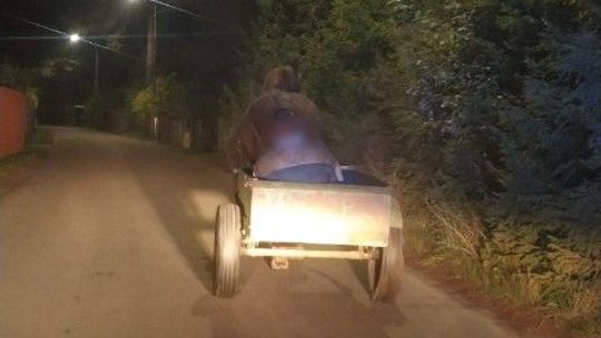 Kaszuby: Koń jechał do domu, woźnica spał pijany