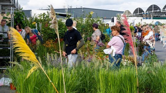 Kiermasz ogrodniczy w  Pomorskim Centrum Hurtowym Rënk kusił ofertą i atrakcjami