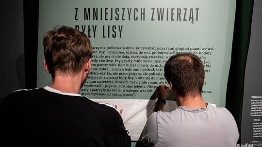 Wystawa w Muzeum II Wojny Światowej. Kontrast przyrody z miejscem ludobójstw