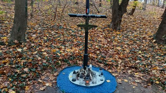 Krzyż we wrzeszczańskim lesie znów upamiętnia poległych lotników