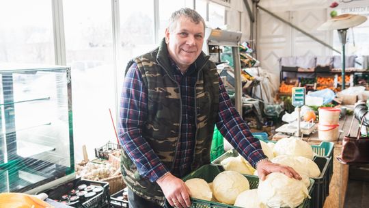 Kup kapustę za 2 złote i uratuj pana Marka!