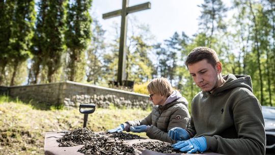 wykopaliska w Lesie Szpęgawskim