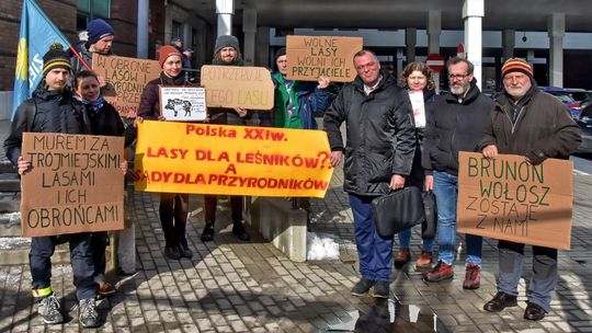 Lasy Państwowe mają odpuścić aktywistom. Brunon Wołosz nie odpowie za zniesławienie Nadleśnictwa Gdańsk?
