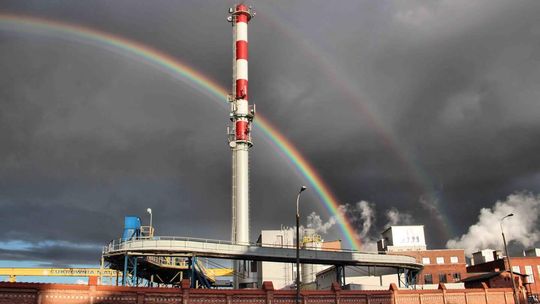 Malbork: Kampania w jedynej na Pomorzu cukrowni ruszy od 8 września