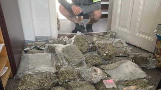 Marihuana, ecstasy, grzyby. Narkotykowy arsenał zabezpieczony u 24-latka z Gdyni 