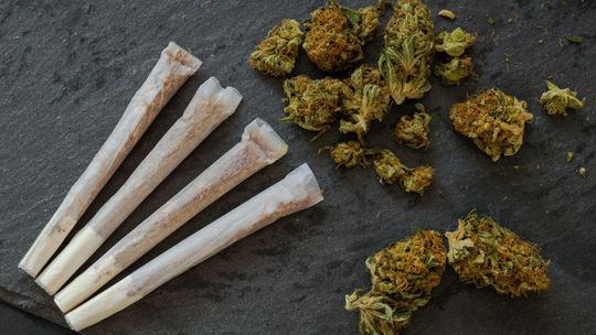 Marihuana w Polsce będzie legalna? W Sejmie powstał specjalny zespół. Już drugi