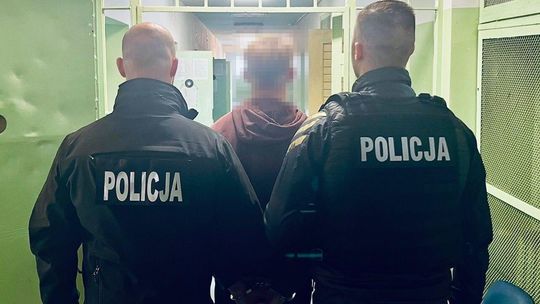 Słupsk: Młodzi "narcos" zatrzymani. W piwnicy mieli marihuanę i amfetaminę