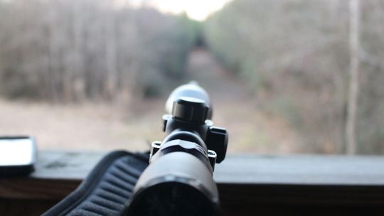 polowanie, broń, zdjęcie ilustracyjne