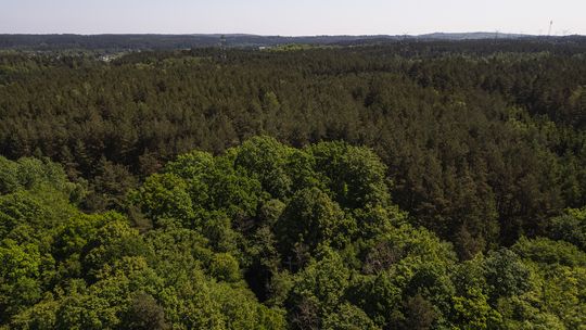 Na Pomorzu powstało 10 nowych rezerwatów przyrody. Gdzie są obszary szczególnie chronione?