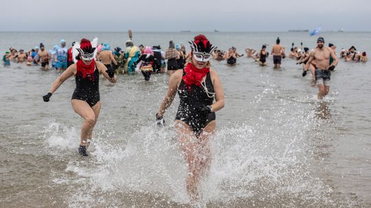 morsy przywitały nowy rok w Bałtyku