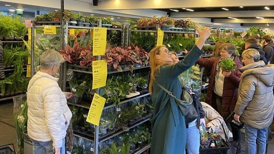 Największy targ roślin doniczkowych w Polsce! W Gdańsku odbywa się Festiwal Roślin