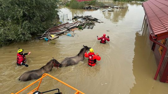 Naukowcy chcą debaty i apelują do rządu. Katastrofa klimatyczna to nowa rzeczywistość