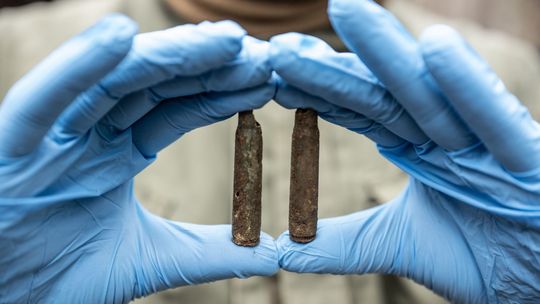 Archeolodzy ponownie w Lesie Piaśnickim. Szukają śladów hitlerowskiej operacji Aktion 1005