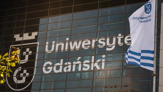 Przełomowy patent z Gdańska! Nowa postać nimesulidu poprawi skuteczność leczenia bólu