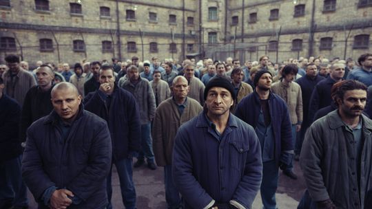 Netflix. Za nami „Lalka” i „Ołowiane dzieci”. Przed nami 2. sezon „Matek Pingwinów” i „Bunt