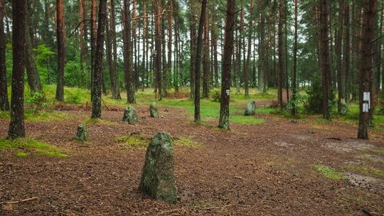 Nietypowe atrakcje Pomorza. TOP 5 zaskakujących miejsc, które musisz zobaczyć
