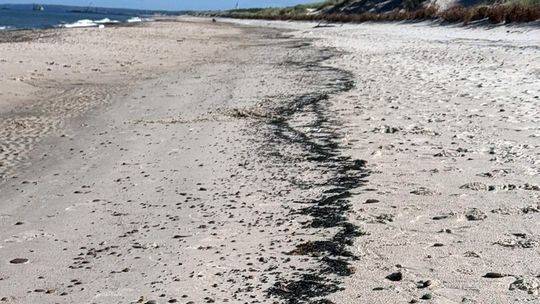 Nieznana substancja na plażach Środkowego Wybrzeża. Urząd Morski w Słupsku zaleca ostrożność