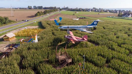 Niezwykły labirynt koło Pucka. Samoloty i autobus do góry nogami w polu kukurydzy