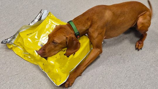 Flara i paczka z narkotykami