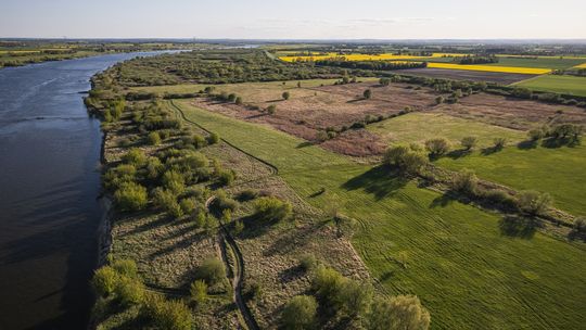 „Delta” Tomasza Słomczyńskiego. Poruszający reportaż o Żuławach