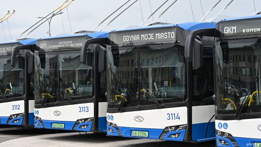 Nowe trolejbusy wyjechały na ulice Gdyni. Od września pojadą dalej i bez sieci trakcyjnej
