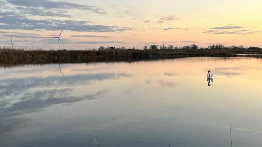 Nowy Staw: zamiast wyrobisk po cegielni zbiorniki retencyjne i miejsca rekreacji