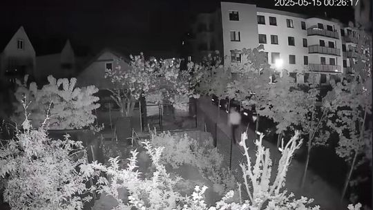 Człuchów: Oblał psa farbą, bo ten nocą ujadał. Wpadł przez monitoring