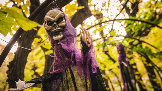 Nawiedzony ogród w Sopocie. Halloweenowy klimat w sercu kurortu