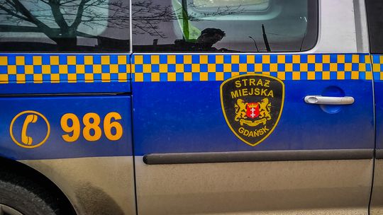 Operatorzy monitoringu miejskiego w Gdańsku wypatrzyli sprawcę brutalnego rozboju Straż Miejska w Gdańsku, zdjęcie ilustracyjne