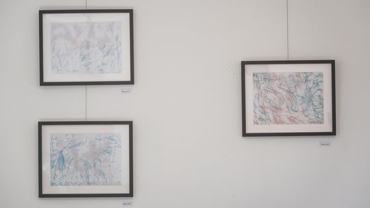 wystawa rysunków orangutanicy Rai z gdańskiego zoo, Gdańsk 2026