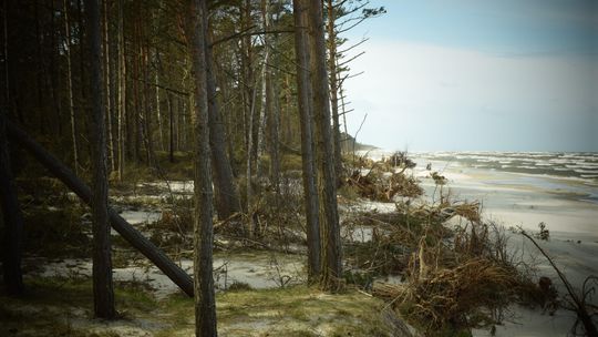 Ostatnie spotkanie „Od Lasu po Fale”. W Jelitkowie już 27 sierpnia