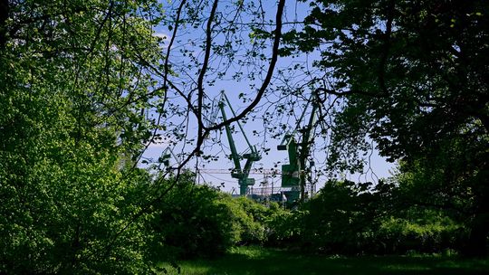 Park im. Steffensów w Gdańsku wpisany do rejestru zabytków