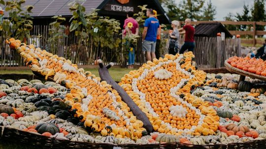 Park rozrywki w Godziszewie zaprasza na największe dyniowisko na Pomorzu