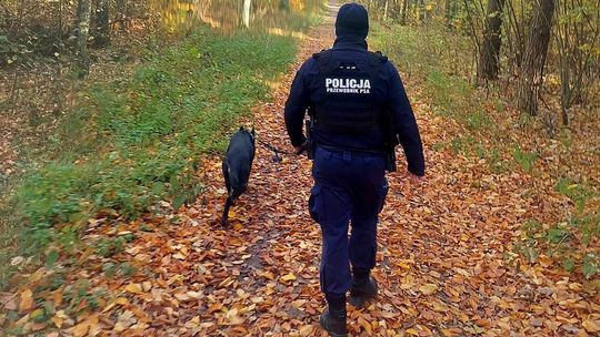 Pies policyjny odnalazł w lesie zaginioną kobietę