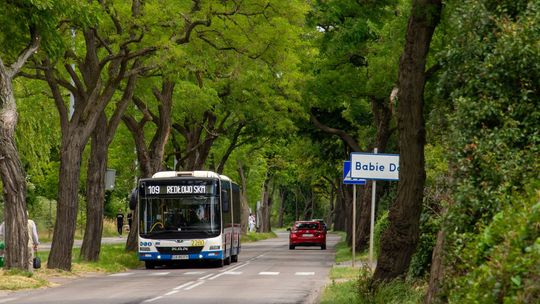 Pijany mężczyzna z nożem w autobusie w Gdyni! Prezydent dziękuje za bohaterską postawę