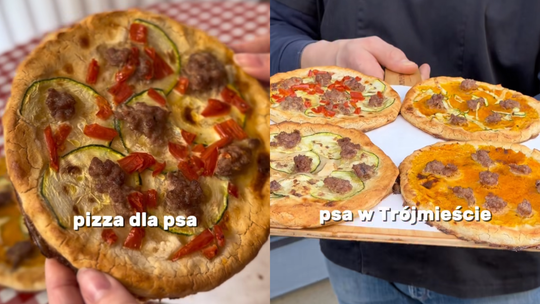 Pizza dla psa za 5 zł w Gdyni! Tego jeszcze w Polsce nie było