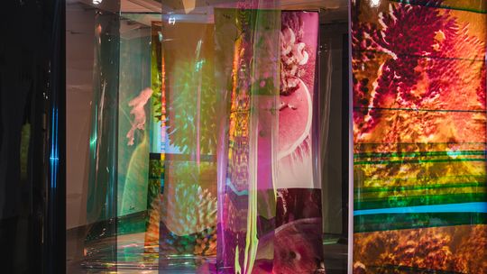 W głąb oceanicznych mroków i mitów. Wyjątkowa wystawa w Sopocie