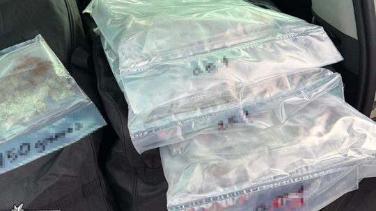 Pół kilograma narkotyków w domu mieszkańca Lęborka. Policja ustala, czy nimi handlował
