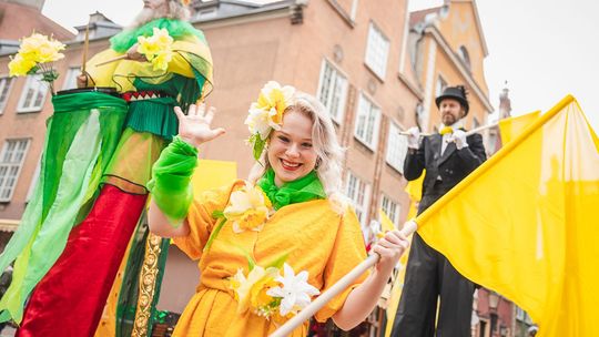 Wielki finał Pól Nadziei już w niedzielę! Żonkilowa Parada przejdzie ulicami Gdańska