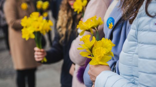 Pola Nadziei zakwitną dla hospicjów na Pomorzu